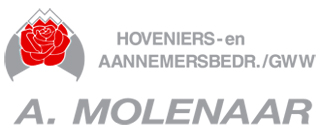 Molenaar